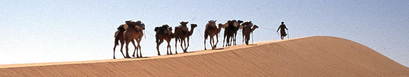 BANDOHAUT